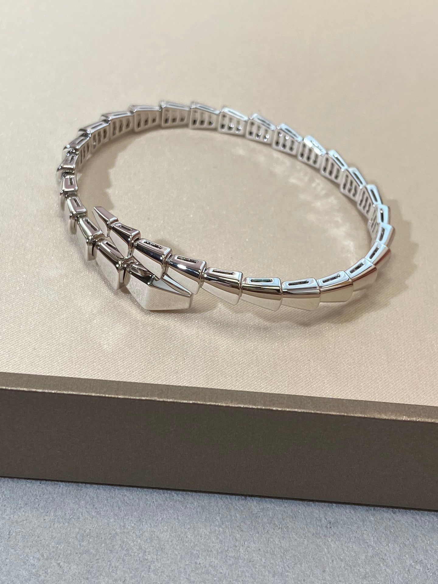 [AuraEcho]SERPENTI VIPER SILVER BRACELET